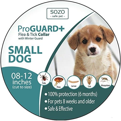 Flea Tick Collar - SMALL DOG with 12 Inch neck or smaller - Natural essential oils