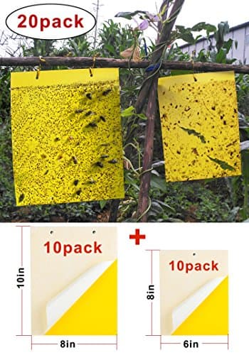 20 Pack Dual-Sided Yellow Sticky Traps for Flying Plant Insect Like Fungus Gnats, Aphids, Whiteflies, Leafminers(10pcs x10"x8" and 10pcs x8"x6",Twist Ties Included)