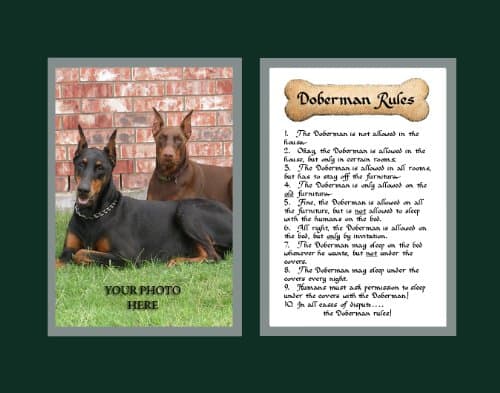 Dog Rules Doberman Wall Decor Pet Saying Dog Saying