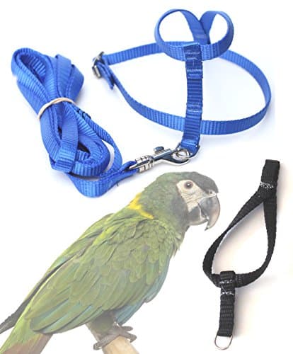 Fred Bird Harness &amp; Leash with additional larger TRAINING Head Loop