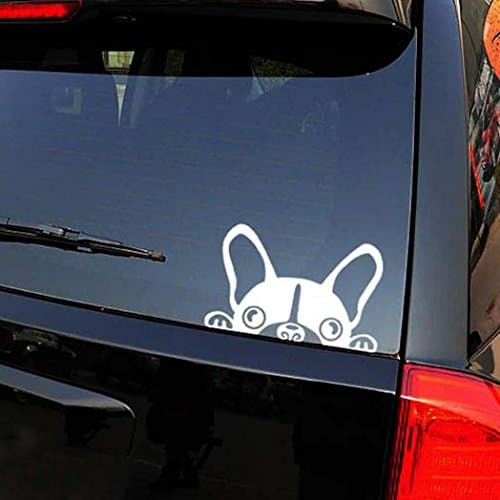 Kstare Skull Skeleton Car Decal/Sticker