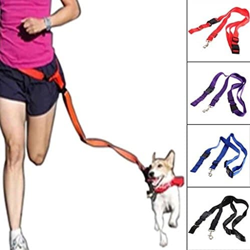 Winwin,Nylon Running Pet Dog Leash Rope Training Slip Adjustable Traction Collar Rope Chain,