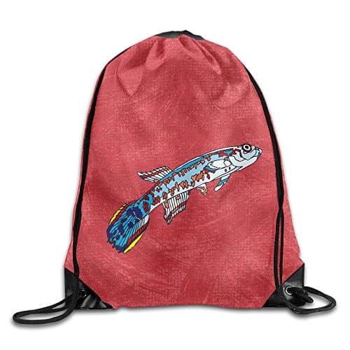 Barracuda Men &amp; Women Sport Gym Sack Drawstring Backpack Bag