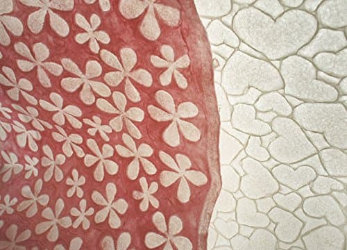 Exotic Elegance 2 Sheet Gift Wrap Valentine's Matched Design Floral / Heart Embossed and Transparent Mulberry Paper Pink White.