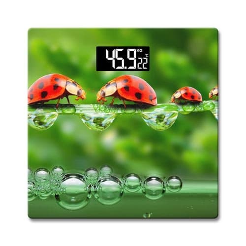 Precision Digital Body Scale Measuring Device Unit-KG Limit-180kg Reinforced Glass With Temperature Display 11x11 inch