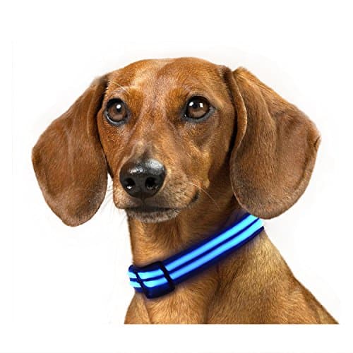 Rechargeable LED Dog Collar, IKET Shiny Double Light Magic Ring to use When Walking Your Dog (S, Blue)