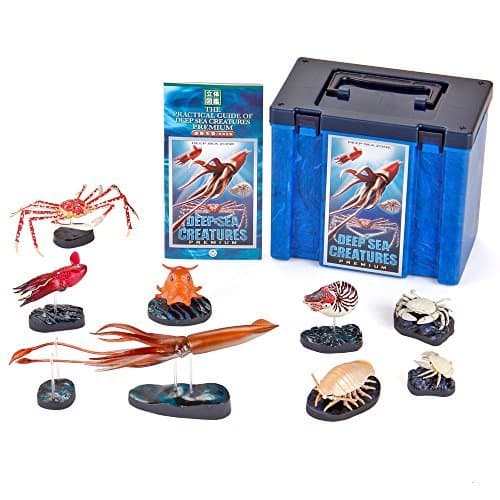Karorata Three-dimensional picture book real figure box deep-sea organisms premium box eight eight