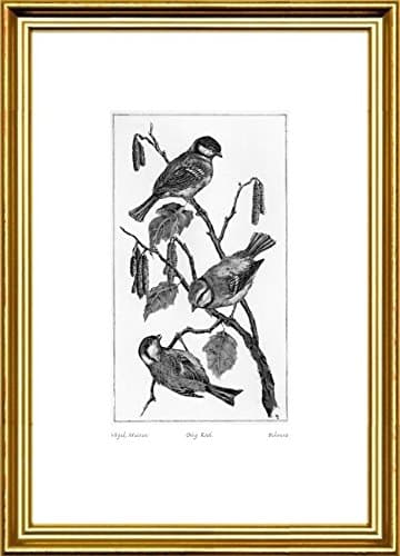 Single-colored hand-crafted etching Vögel, Meisen (Germany) by Behrens in a gold-channeling frame, graphics, art design, art print