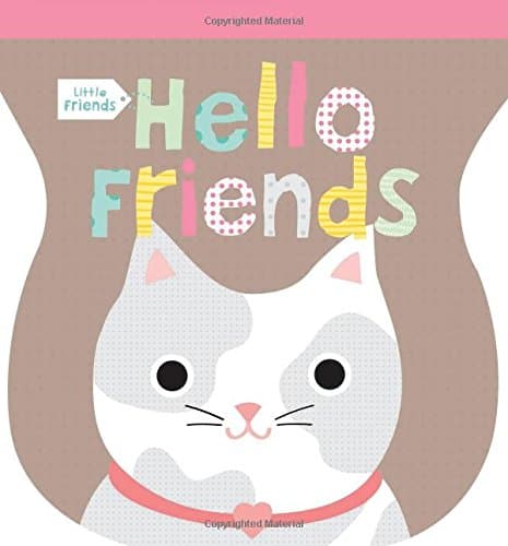 Little Friends: Hello Friends Shaker Teether Board book – January 7, 2014