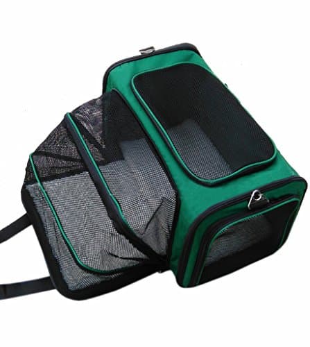 Lovely summer Luxury Soft Sided Pet Carrier Expandable and Foldable Pet Carrier Domestic Airline Approved
