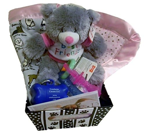 Welcome New Puppy gift basket - Pink