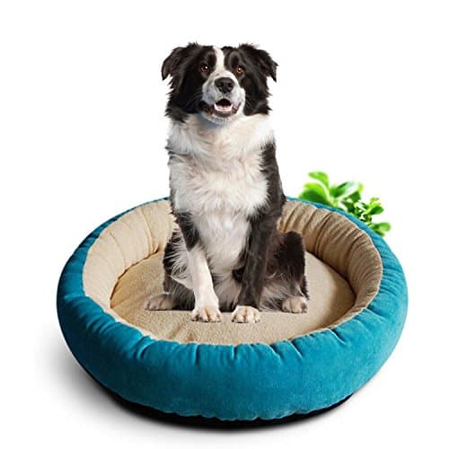 Casablanca Round Solid Dog Beds Pet Round Bed For Cats & Dogs Bite-resistant