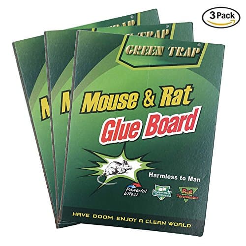 NoBuzz Mouse Rat Glue Trap, Strength Sticky Boards, Extra Large Size, Peanut Butter Scented, Catches Insect Lizard Spider Cockroach Rodent Scorpion Snake, Perfect Use for Indoor and Outdoor
