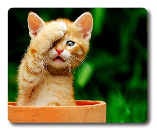 Square iPhone 6 6S Case All-Inclusive Full-Body Shockproof Protective Phone Cover Case iPhone 6 6S