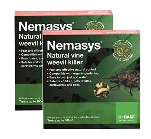 Nemasys Vine Weevil Killer Double Delivery 100 sqm
