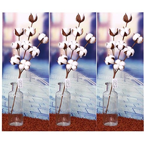 RDGG 22" Tall Cotton Stems (3 Stems/Pack) with 9 Real Natural White Cotton Flowers Bolls Per Stem Farmhouse Style Dried Flowers Display Filler - Floral Decoration for Home