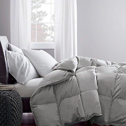 Finest 1100 Thread Counts 200 GSM Fiber Fill 1pc Comforter + 4pc Sheet Set RV Champer Short Queen Size Silver Grey Solid 100% Egyptian Cotton- by PARADISEHOUSE