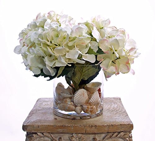 Creative Displays White Hydrangea Over Sea Shells in Glass Vase