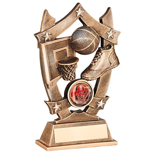 Basketball Trophy - Net, Ball and Trainers in Shield Design - Bronze & Gold colour resin
