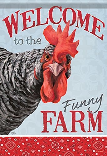 Carson House Flag - Funny Farm Chicken