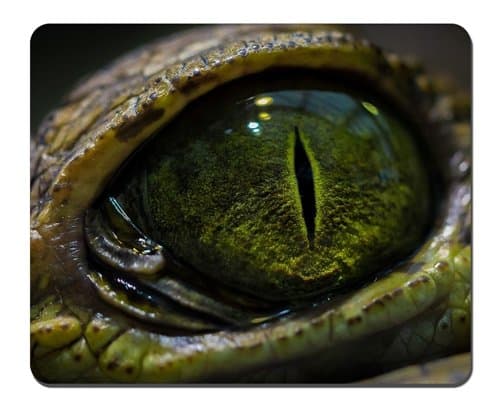 Eyes Macro Reptile Crocodile Mousepad,Gaming Mouse Pad (10.2x8.2 inches)