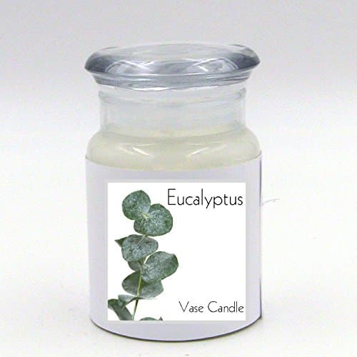 2 Eucalyptus Jars | Vase Candle | 60 Hour Burn Time | Premium Soy Paraffin Wax Blend | Highly Scented | Self-Trimming Wick