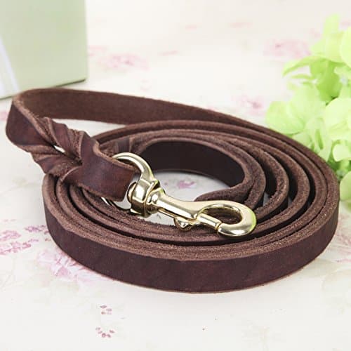 CHEDE - Best for Medium and Large Dogs - Heavy Duty Leather Dog Training Leash Dark Brown 6 Foot x 3/4 Inch Lead with Package Box