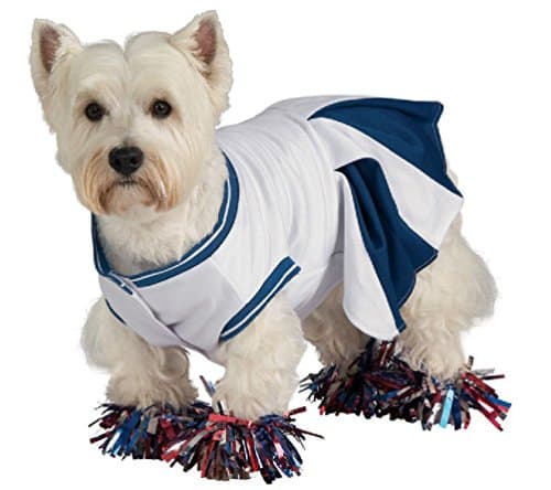 Blue Cheerleader Uniform Dog Pet Costume