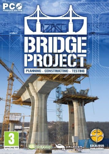 the bridge project