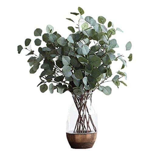 Artificial Silver Dollar Eucalyptus Leaf Spray in Green Leaves Indoor Outside Home Garden Office Wedding Décor(6 Stems)