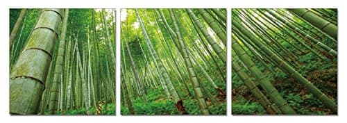 SLS Vision. Lost in Bamboo. 48 x 16 inches. Ready to Hang. Contemporary Art Modern Wall Decor, 3 Panel Commercial Grade Machine Framed Giclee Canvas Print. Home Decoration Painting. A1229S