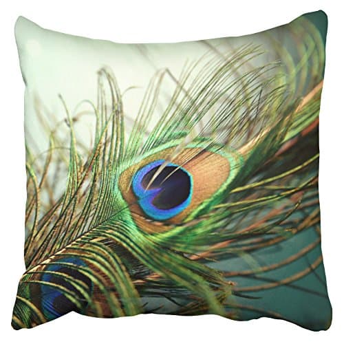 Accrocn Pillowcases Teal Peacock Feather Decorative Throw Pillow Covers Protectors Cases Cushion Cover Case Couch Sofa Size 18x18 inches(45x45cm) One Side print
