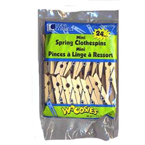 Mini Spring Clothes Pin-2-1/2" 24/pkg