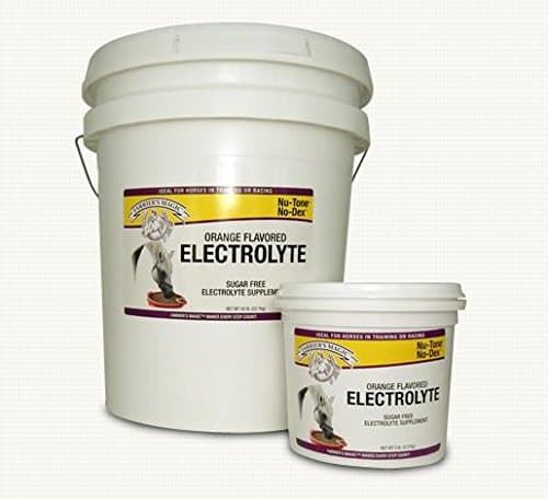 Republic Mills NUTONE No Dex Orange