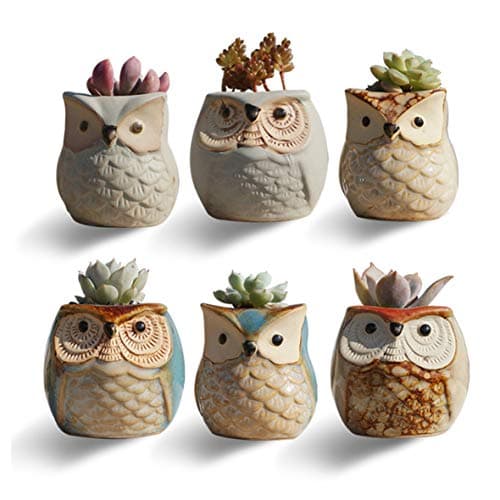 Owl Pots Mini Ceramic Succulent Pots Flowing Glaze Base Serial Set Succulent Plant Pot Flower Planter Holder Cactus Planter Pot with a Hole 2.5 Inches/6 PCS