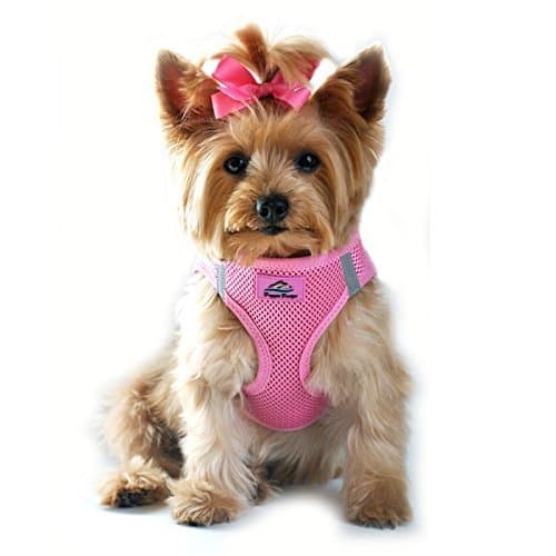 Ultra Choke-Free Mesh Dog Harness - Candy Pink : See Description for Size