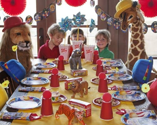 REVELBEE Circus Carnival Birthday Party Package