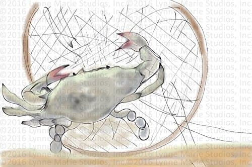 Print - Ocean Crab In Net 13" x 19" Fine Art Print