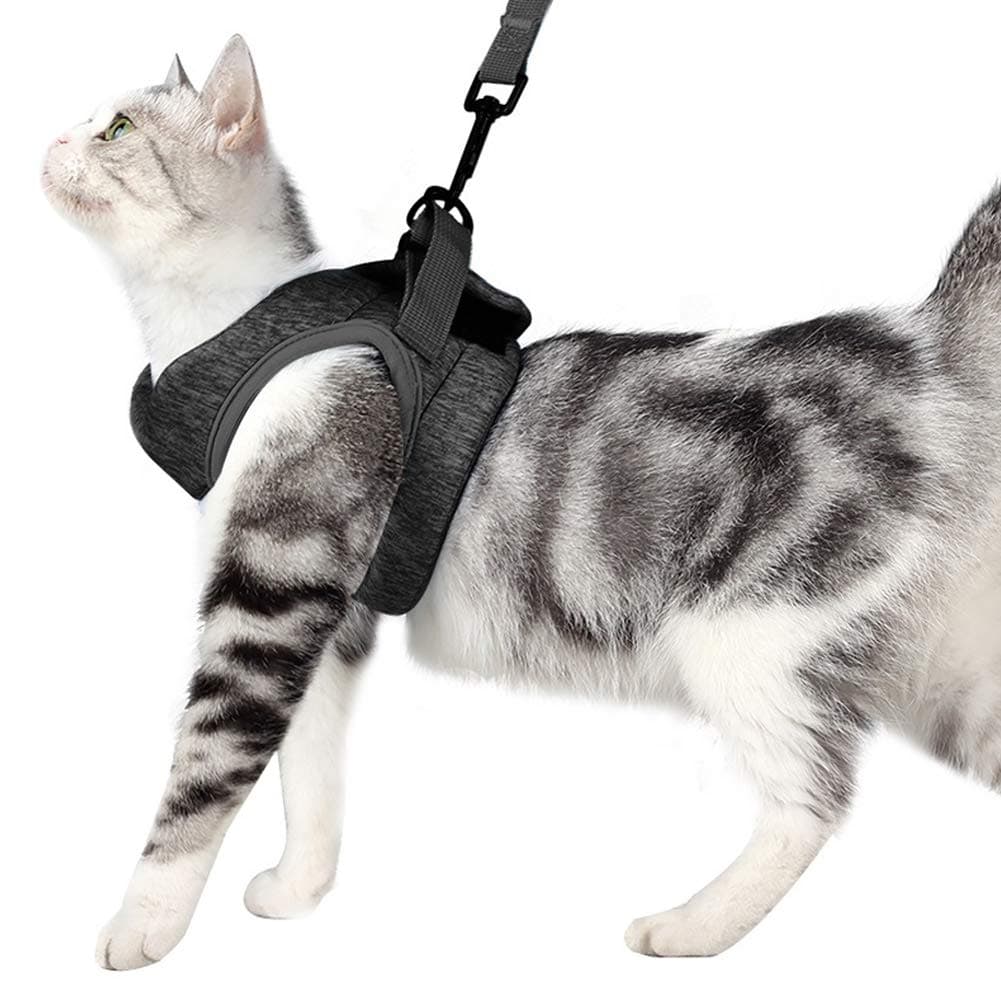 Cat Harness and Leash Set Ultra-Light Kitten Collar Soft and Comfortable Cat Walking Jacket Running Cushioning Escape Proof Suitable for Puppies Rabbits with Cationic Fabric (S, Gray)