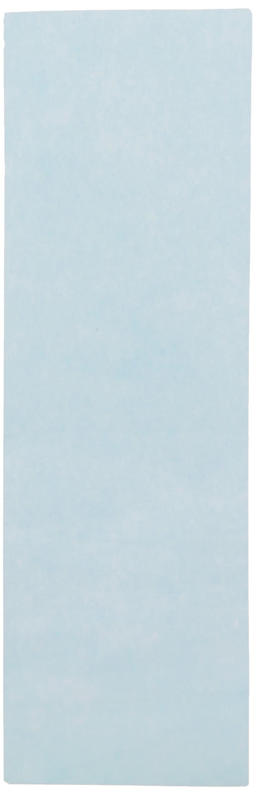 GVS Life Sciences 1215044 Polycarbonate Track Etched Hydrophobic Membrane Sheet, 12.0 Micron Pore Size, 25mm Width, 80mm Length (Pack of 50)