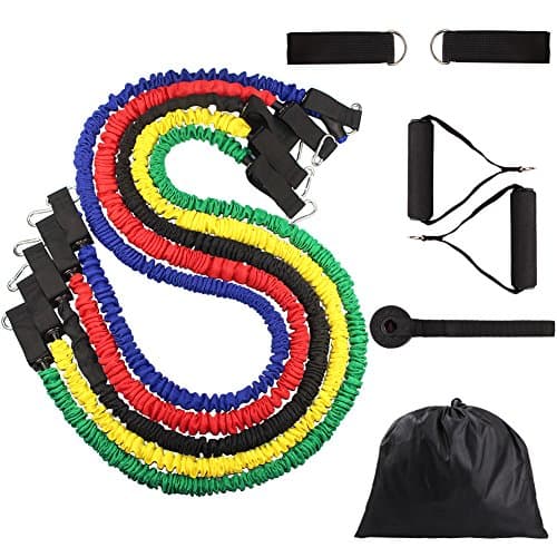 Resistance Band Set with Handles, Exercise Bands with Carrying Case, Door Anchor Attachment, Legs Ankle Straps 