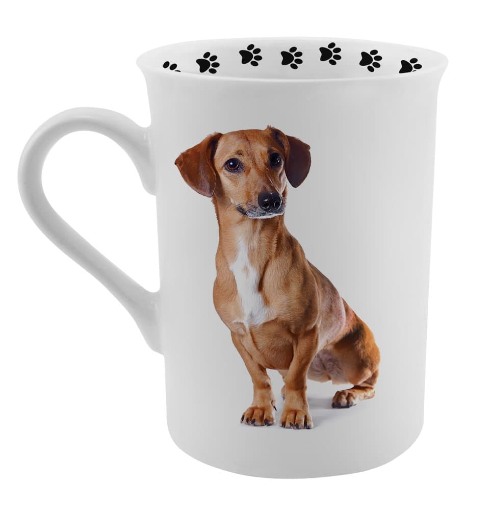 Dimension 9 Dachshund Red Coat Coffee Mug, White
