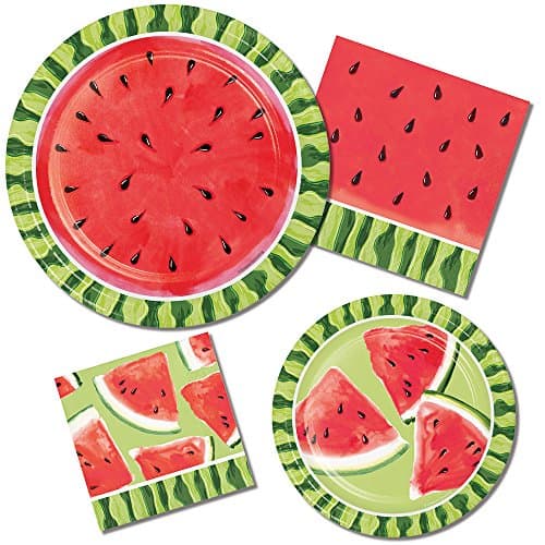 Watermelon Summer Picnic Party Supply Pack! Bundle Includes Paper Plates &amp; Napkins for 8 Guests