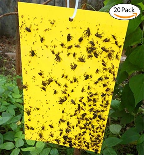VANKINE 20-Pack Dual-Sided Yellow Sticky Traps for Flying Plant Insect Like Fungus Gnats, Aphids, Whiteflies, Leafminers - (10x7 Inches, Twist Ties Included) (20)