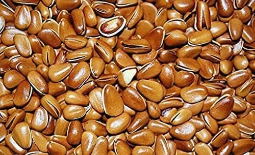 2.5 Pound (1135 grams) Shelled roasted pine nuts Grade A from Northeast China (中国东北松子）