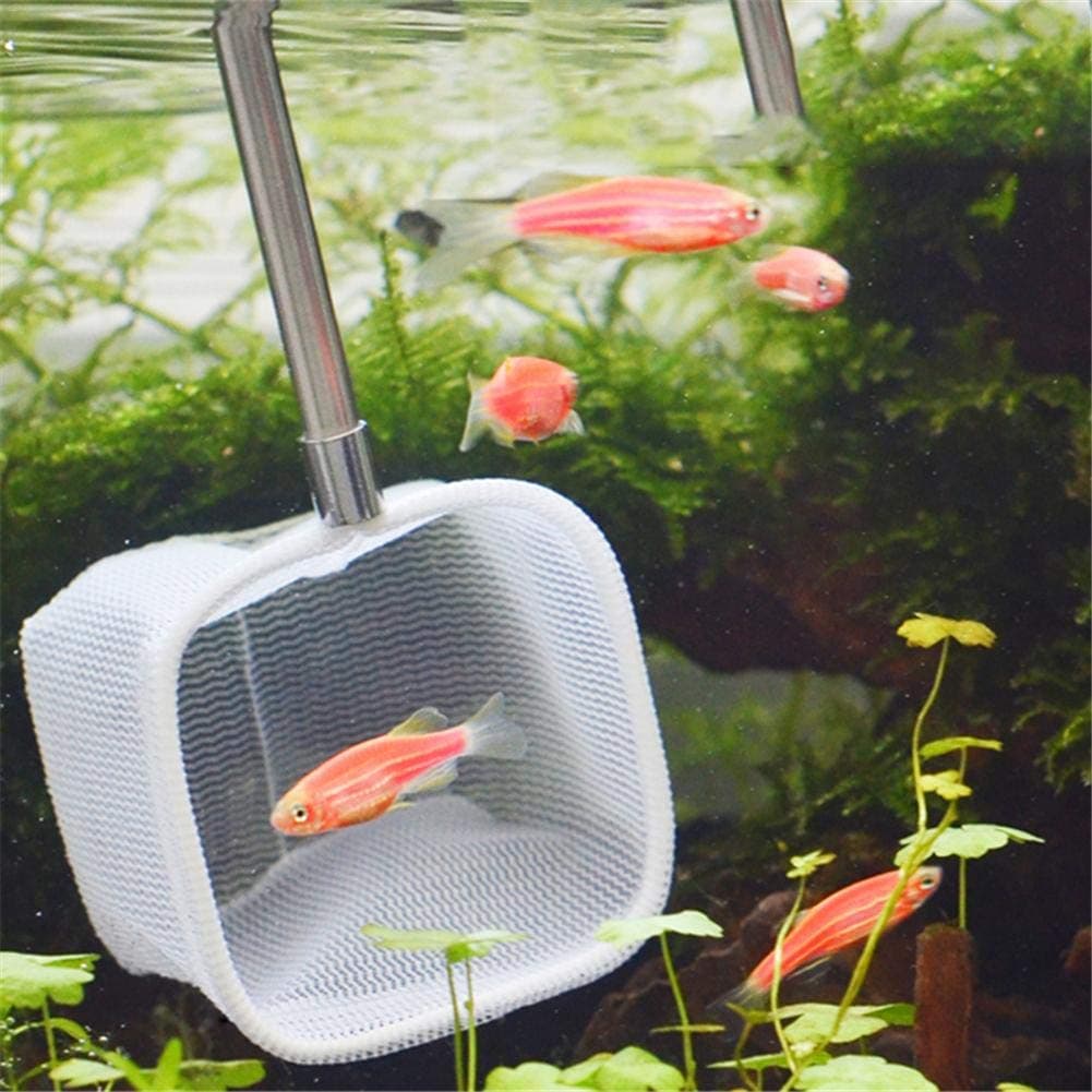 Fish Tank Net Extendable Long Handle 3D Aquarium Fishing Net Pocket Shrimp Catching Net(Random Color)