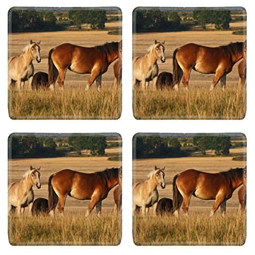 MSD Square Coasters Non-Slip Natural Rubber Desk Coasters design: 11376532 Nature in south Sweden in the province of Sk ne horses on a field