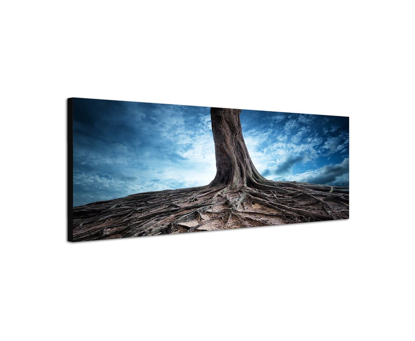 Canvas Wall Art Large Panorama 150x50 cm Tree Trunk Roots Earth Fantasy Picture