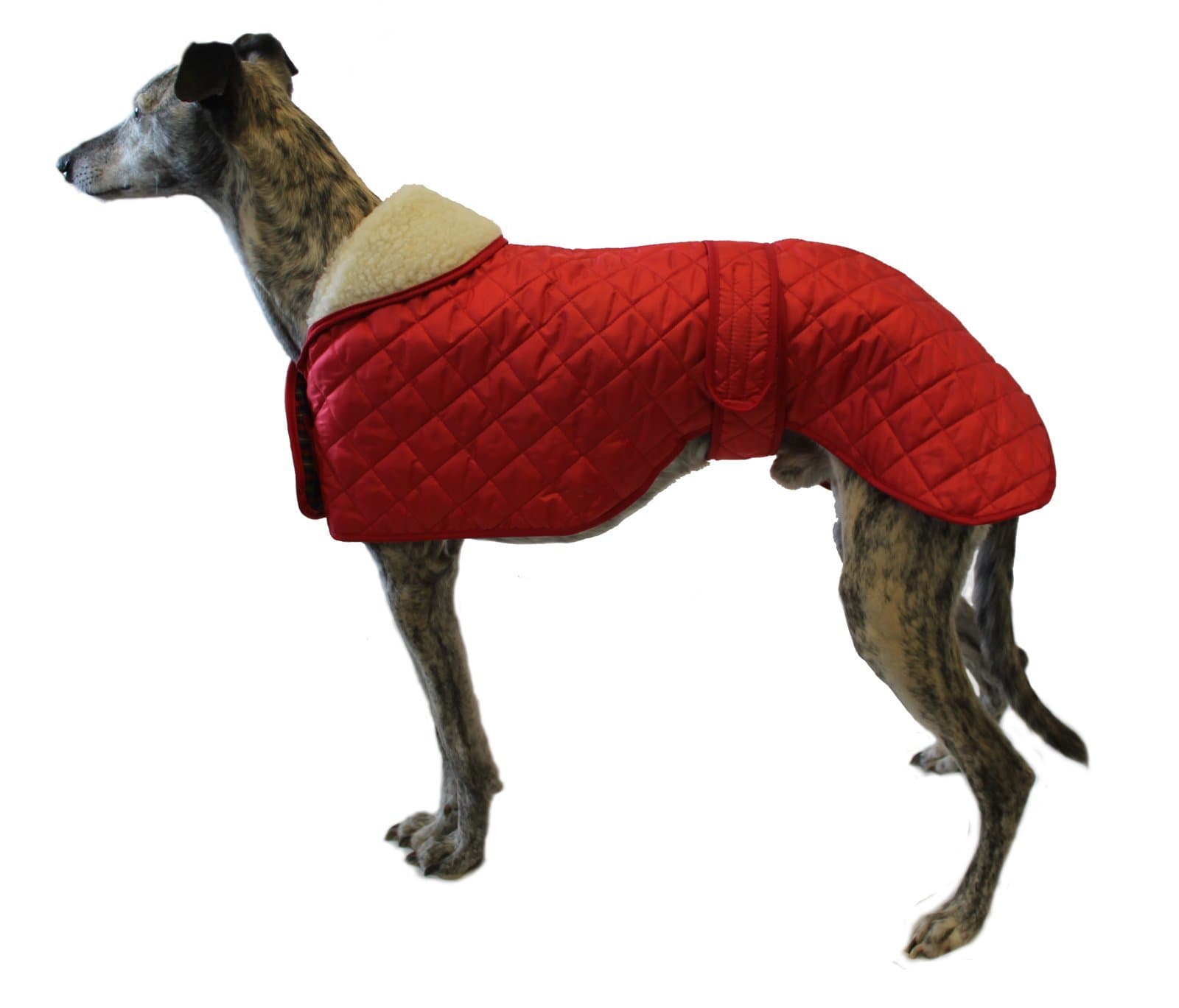 Cosipet Greyhound Anorak Nylon Coat, 61 cm, Red