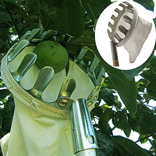 Practical Orchard Fruit Picker Gardening Fruits Picking Tool